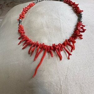 RARE ‼️Vintage Native American Red Branch coral Sterling Santo Domingo Necklace